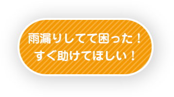 雨漏りしてて困った！すぐ助けてほしい！